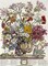 October - Twelve Months of Flowers Poster Print by Robert Furber - Item # VARPDX268001